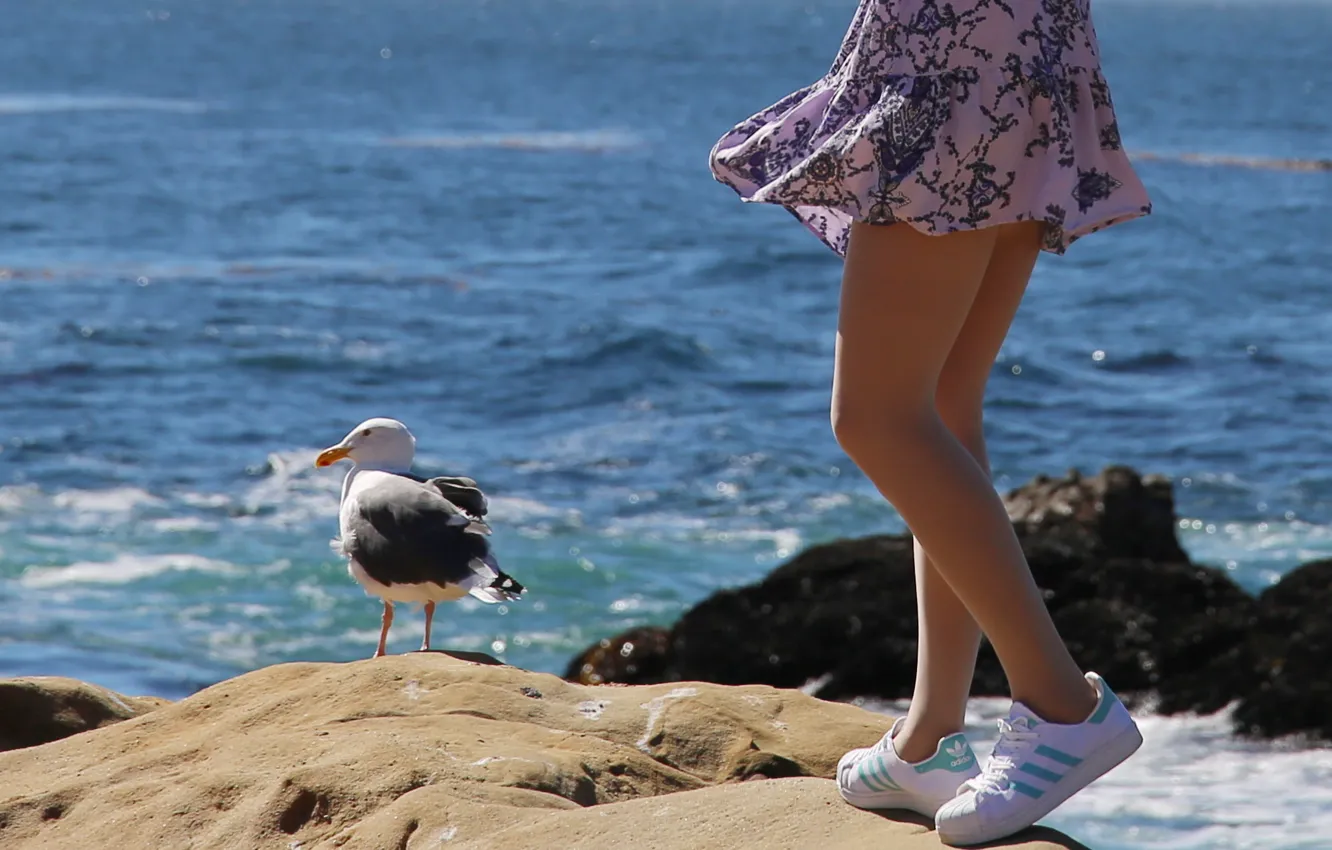 Photo wallpaper sea, girl, feet, seagulls, dress, sneakers