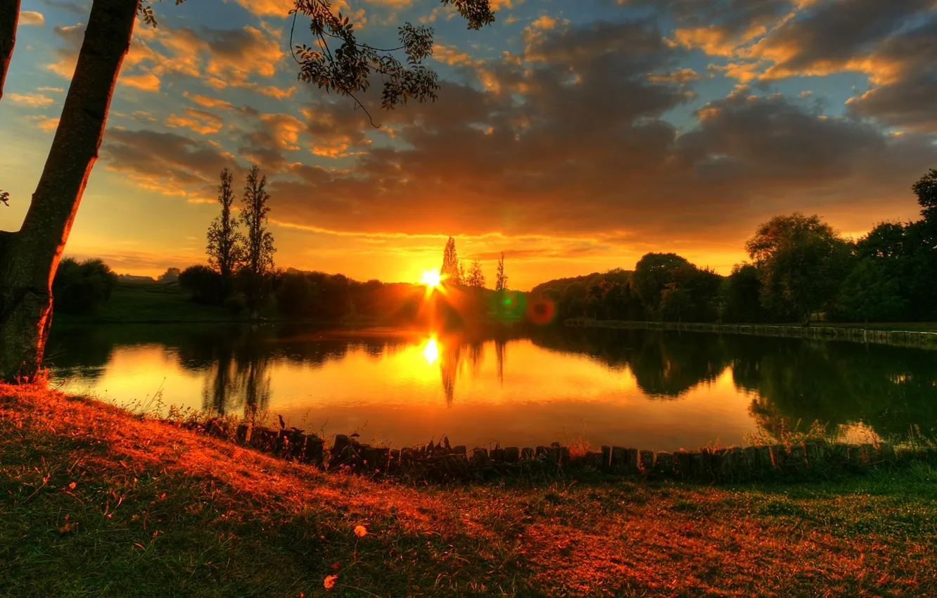 Photo wallpaper summer, trees, sunset, nature, lake