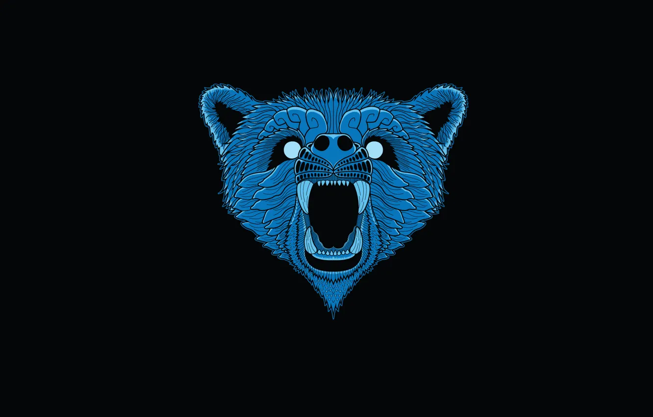 Photo wallpaper face, blue, minimalism, head, bear, black background, bear