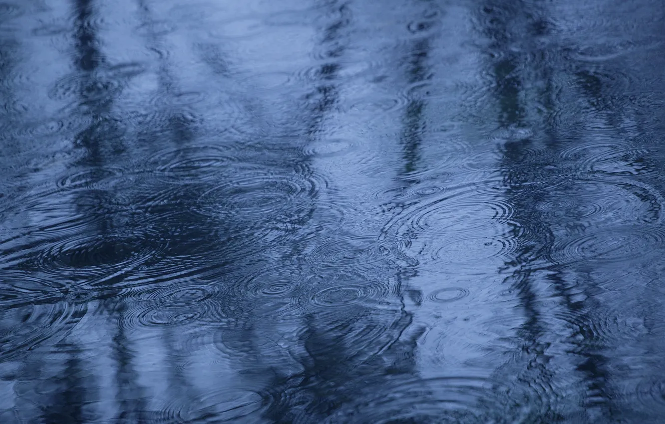 Photo wallpaper autumn, water, reflection, rain, puddle