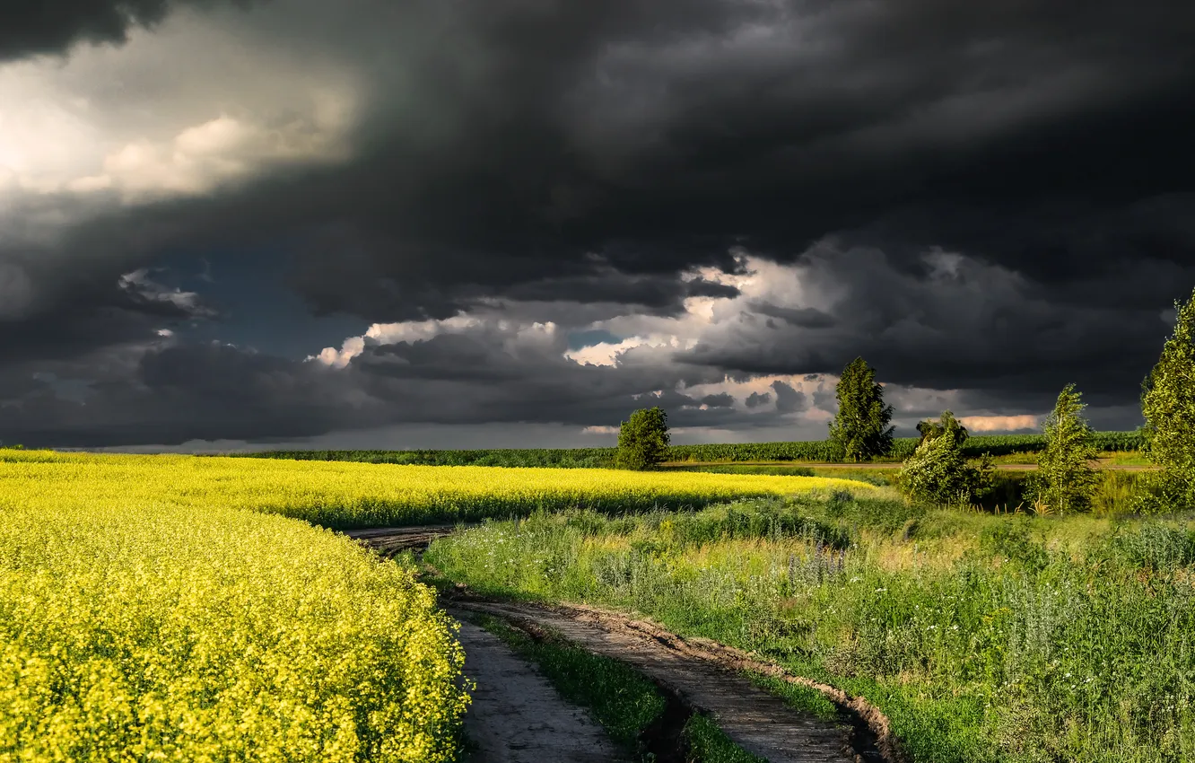 Photo wallpaper yellow, gloomy sky, road, storm, rape, the storm, dal, space