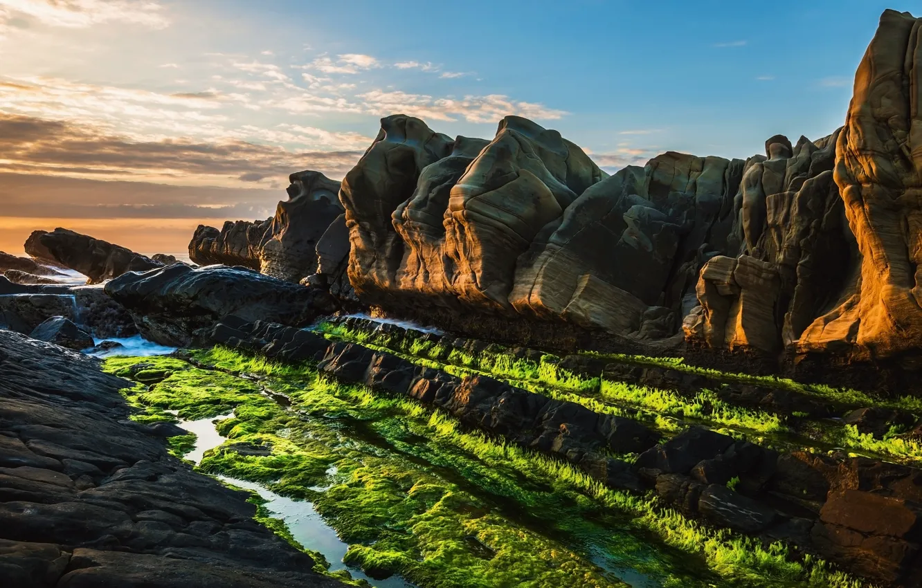 Photo wallpaper sea, the sky, clouds, light, algae, landscape, nature, blue