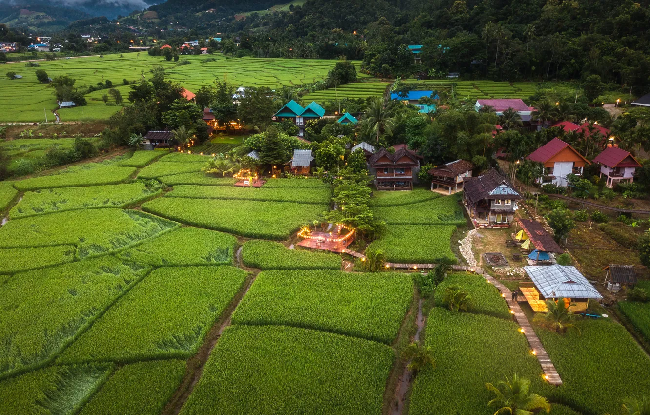 Photo wallpaper field, forest, trees, mountains, lights, home, the evening, valley