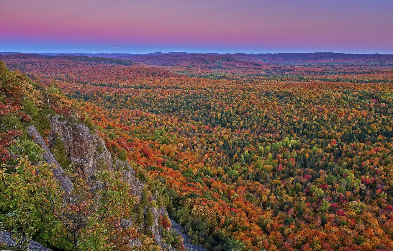 Photo wallpaper autumn, forest, trees, mountains, rocks, valley