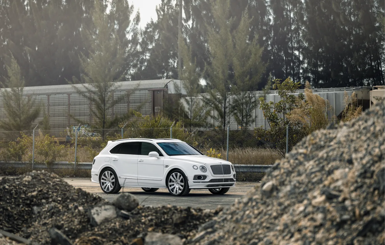 Photo wallpaper Bentley, White, VAG, Bentayga