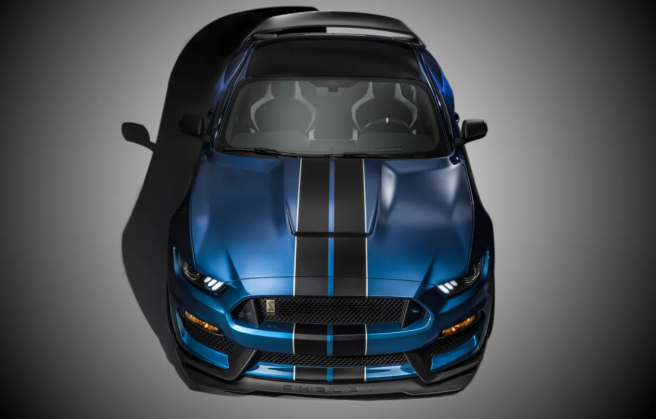Photo wallpaper Mustang, Ford, Shelby, Muscle, Car, Front, 2015, GT350R