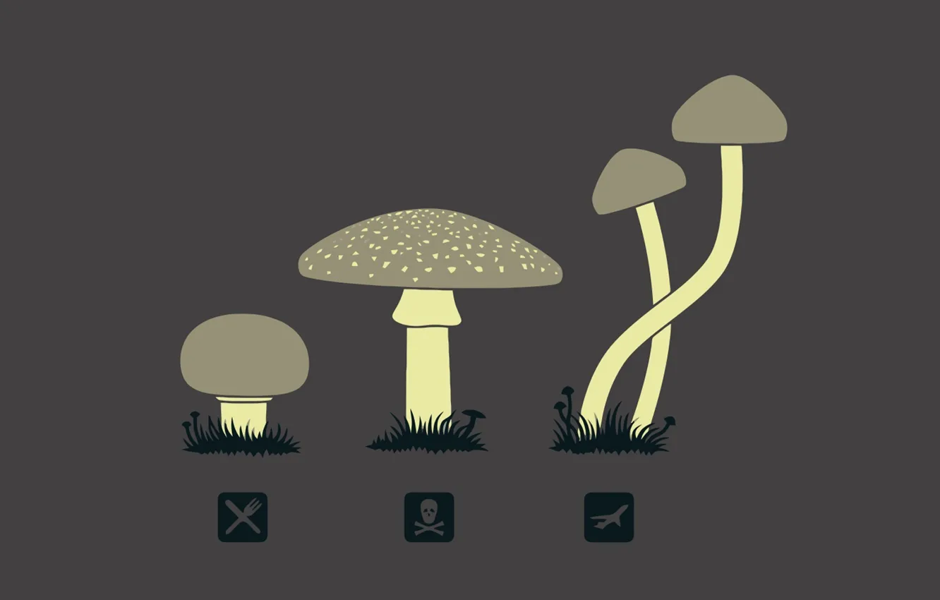 Photo wallpaper mushrooms, icons, hallucinogens