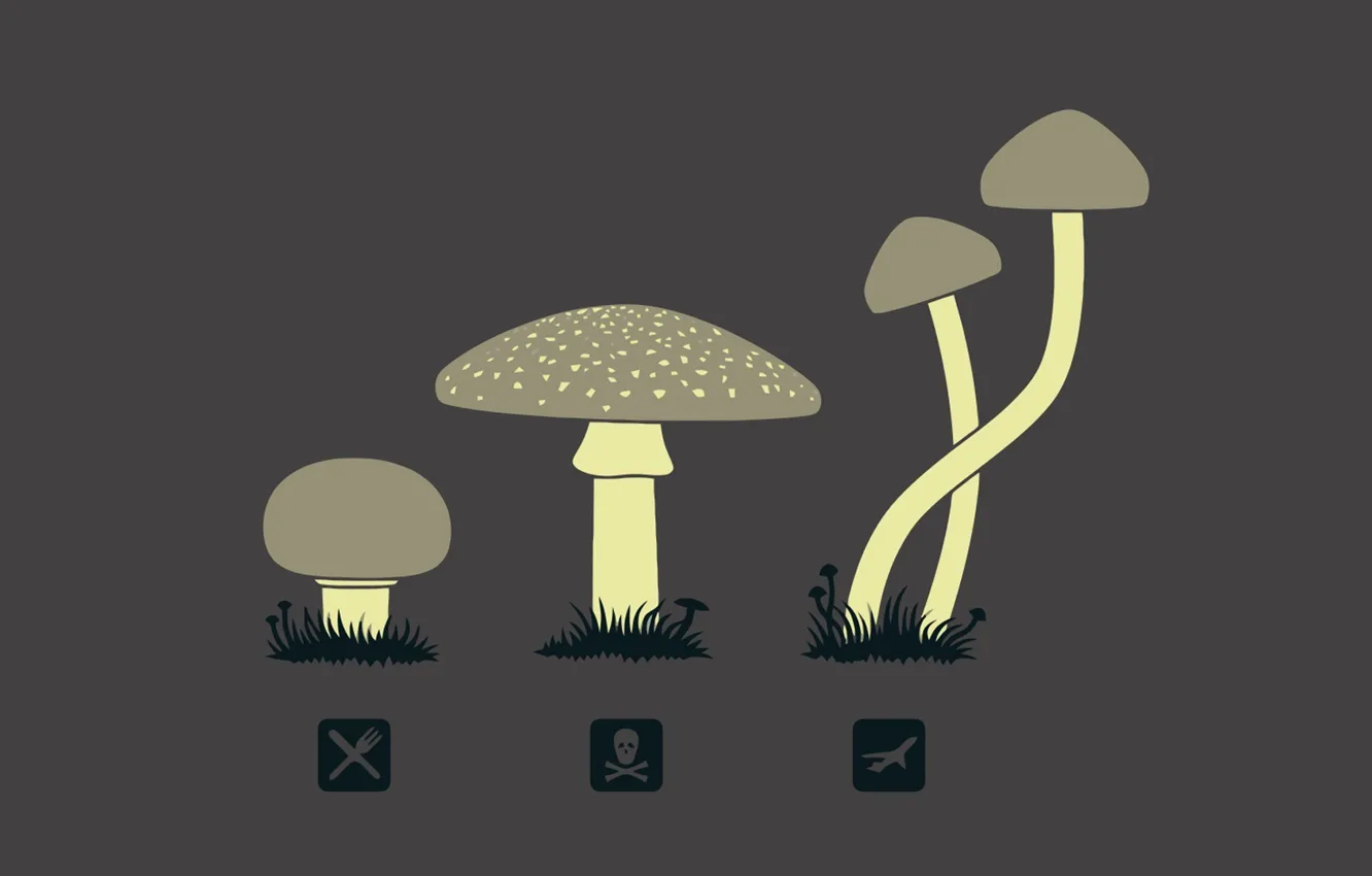 Photo wallpaper mushrooms, icon, hallucinogens