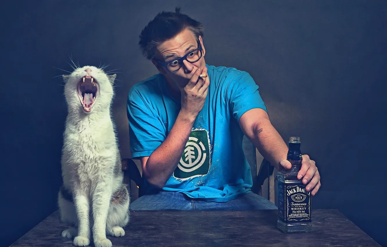 Photo wallpaper Bottle, Cat, Jack Daniels, Jack Daniel, Points.
