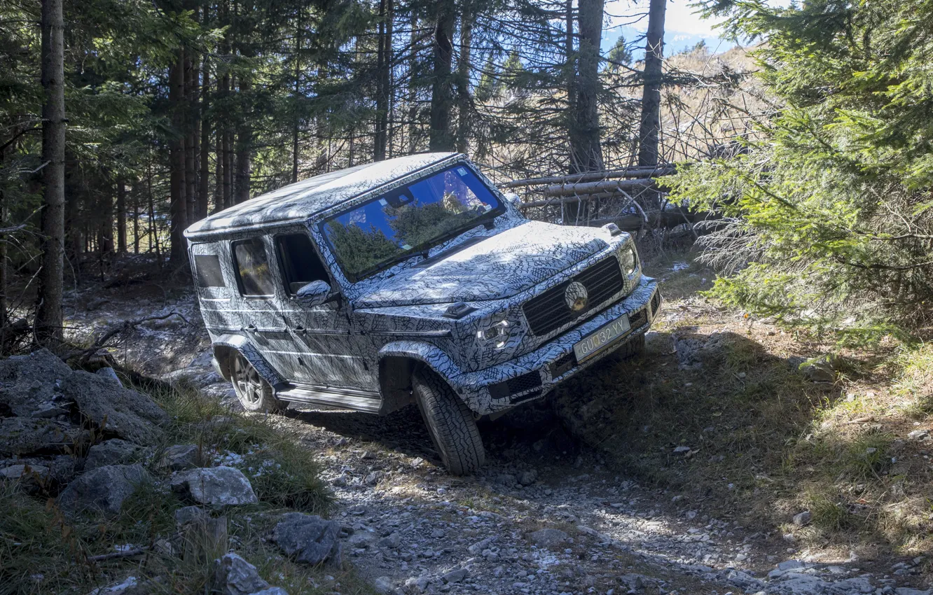 Photo wallpaper forest, trees, stones, Mercedes-Benz, disguise, test, 2018, G-Class