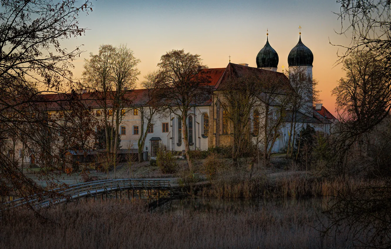 Photo wallpaper autumn, grass, light, trees, branches, lake, thickets, shore