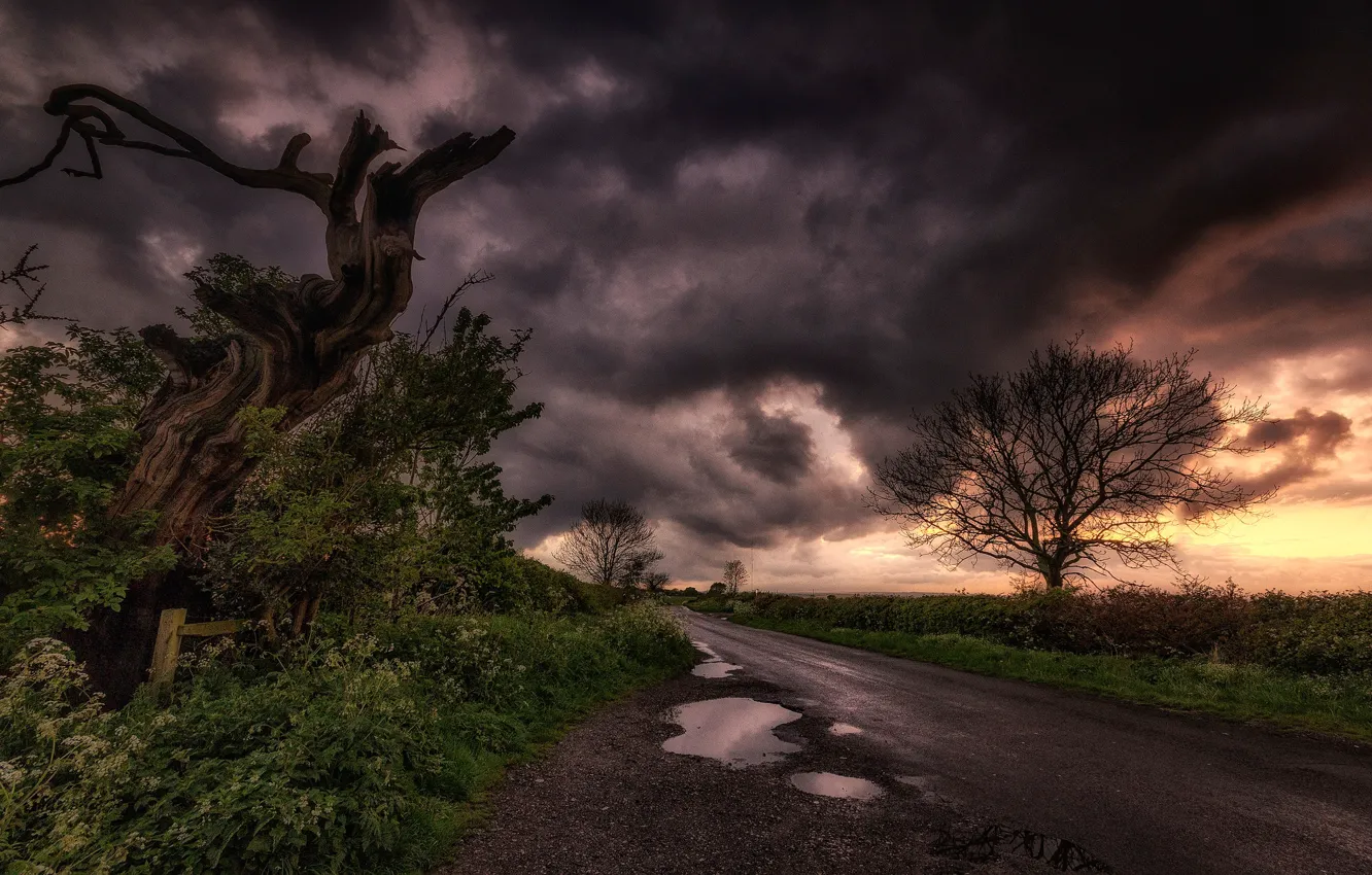 Photo wallpaper clouds, landscape, road, clouds, puddle, trees