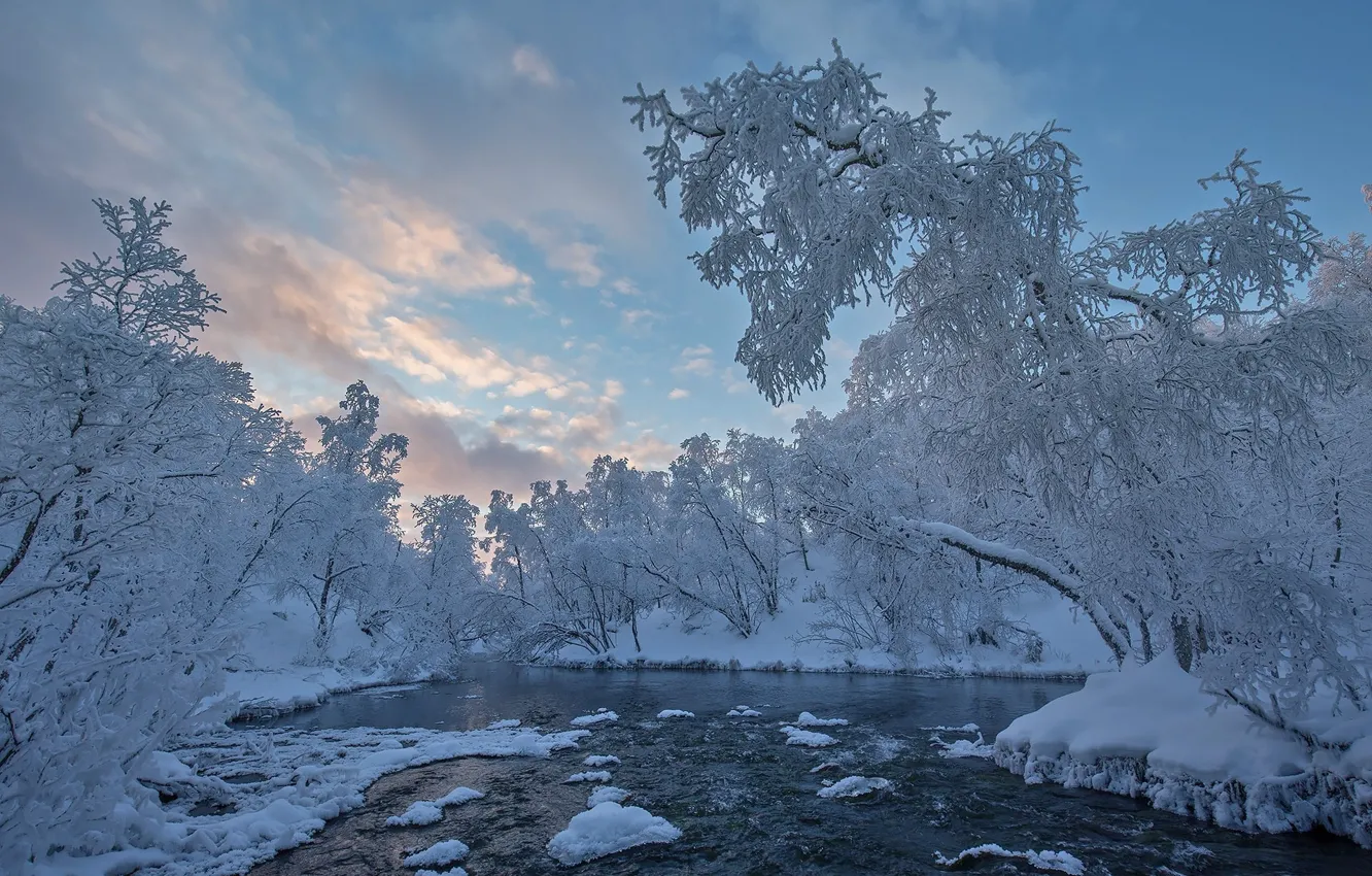 Photo wallpaper winter, the sky, snow, trees