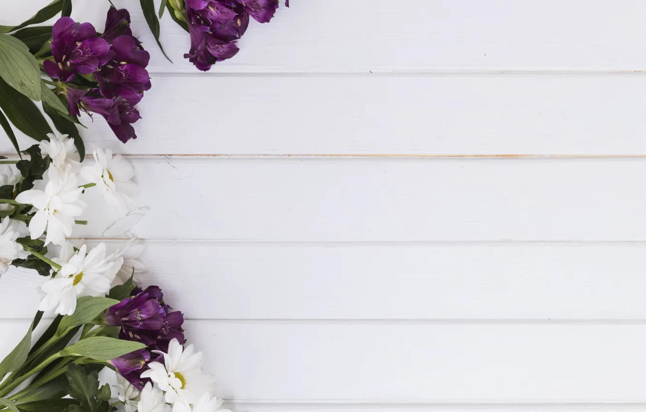 Photo wallpaper flowers, background, chrysanthemum, Alstroemeria