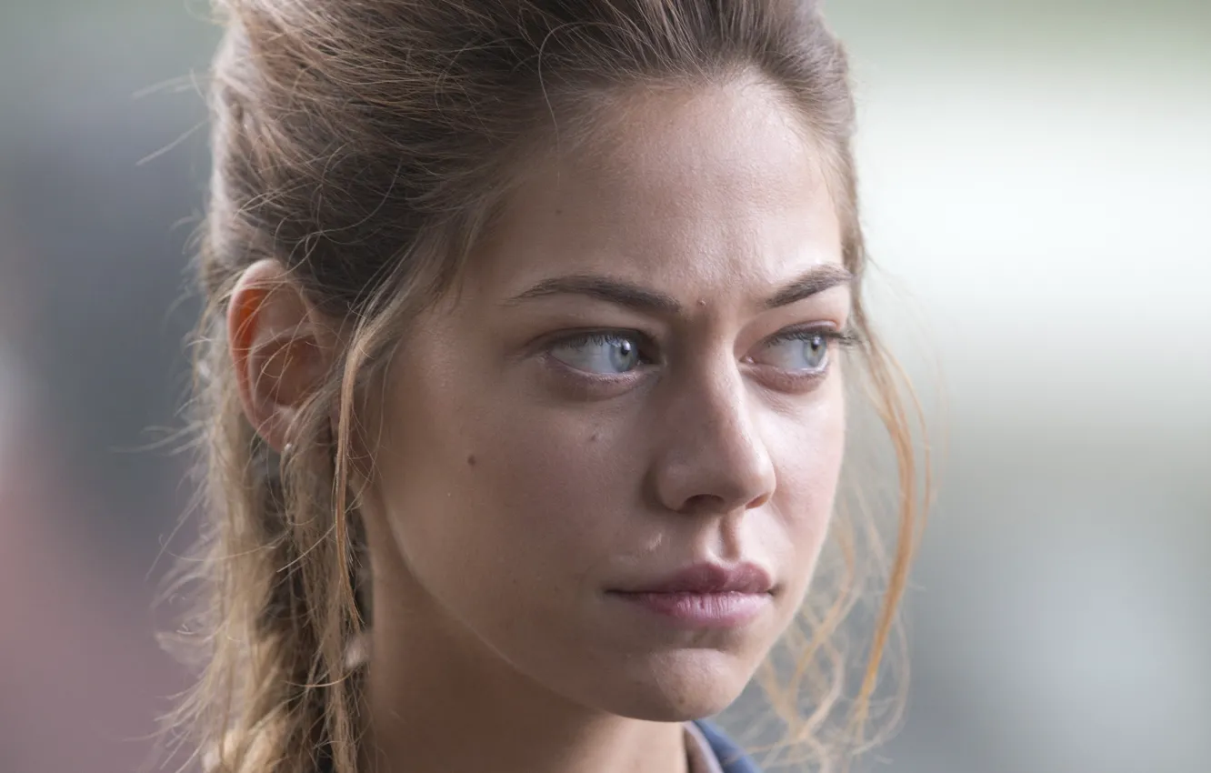 Photo wallpaper Warm Bodies, Warm bodies, Analeigh Tipton