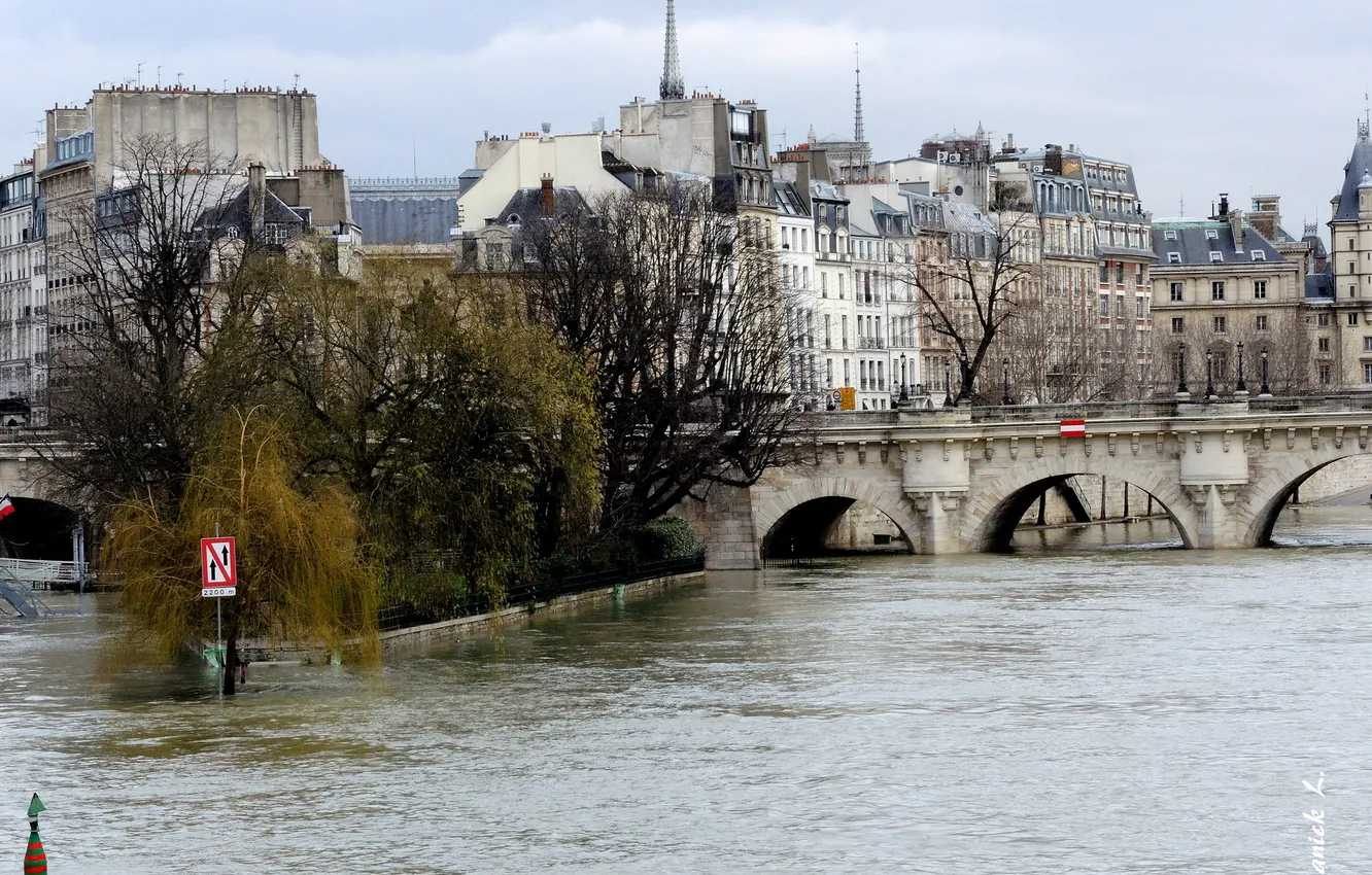 Photo wallpaper trees, bridge, river, Paris, home