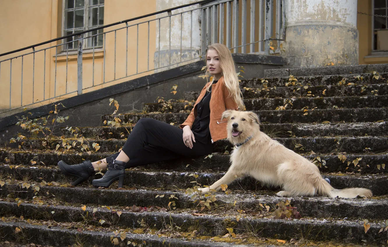 Photo wallpaper girl, dog, steps, sitting