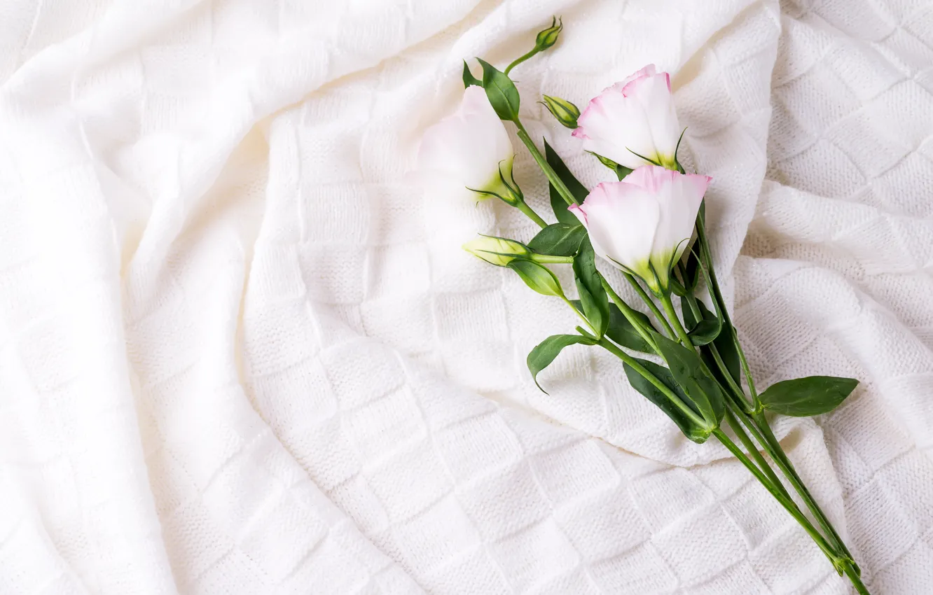 Photo wallpaper flowers, fabric, eustoma