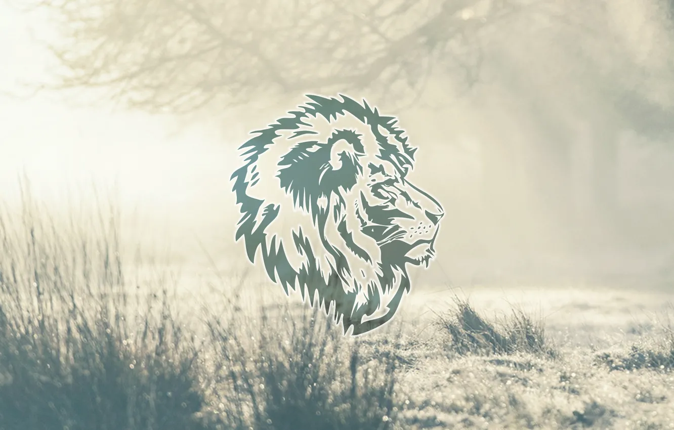 Photo wallpaper abstract, design, lion, animal, graphic, natural