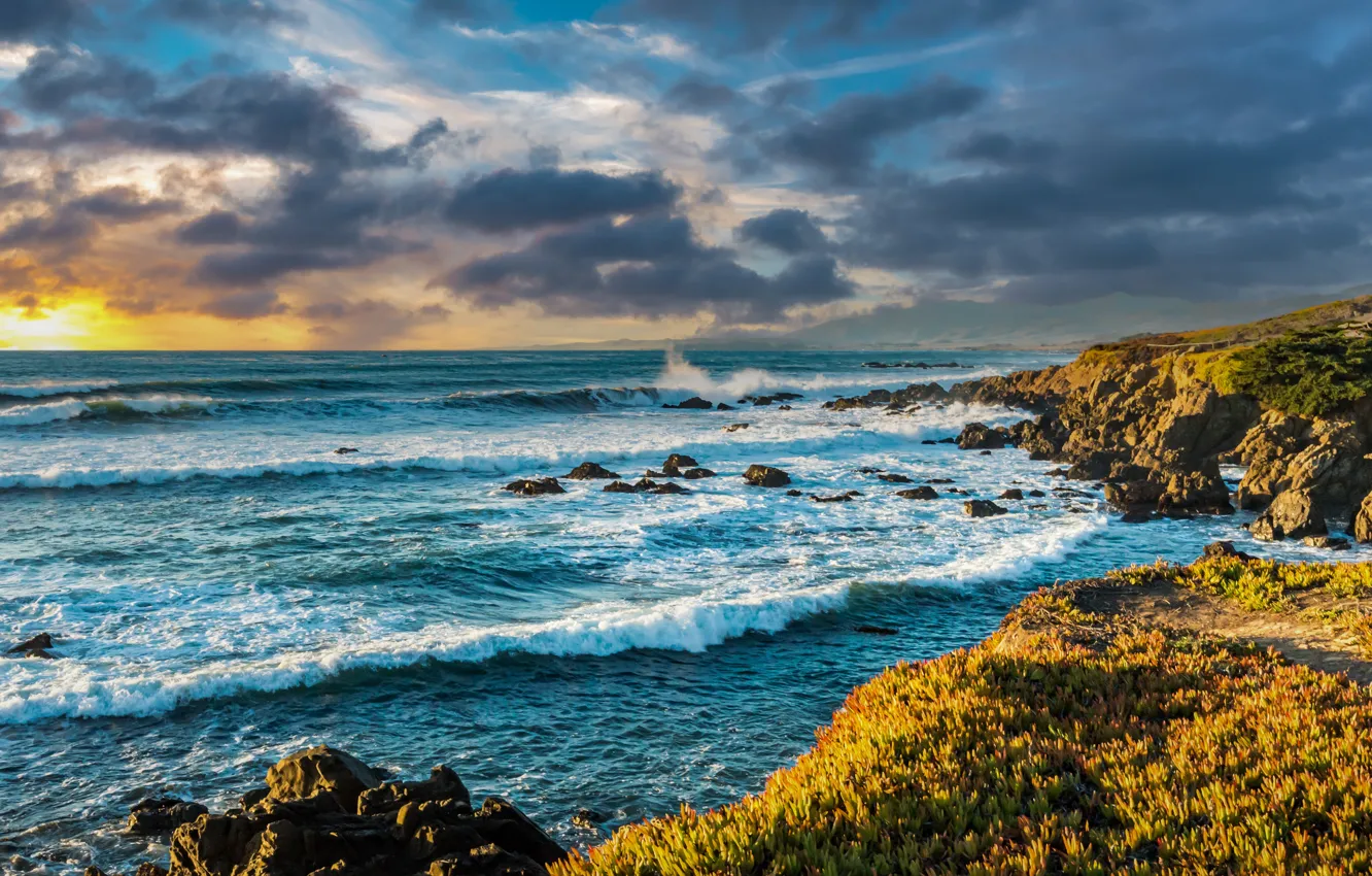 Photo wallpaper sea, wave, stones, vegetation, surf