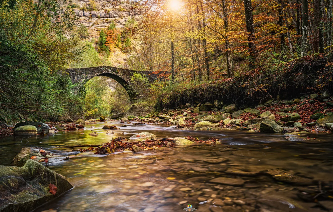 Photo wallpaper autumn, forest, bridge, pond, aqueduct