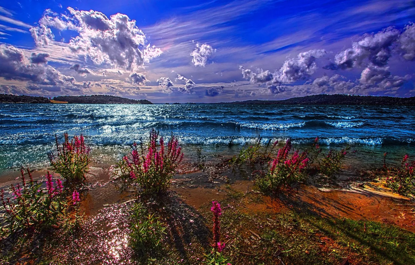 Photo wallpaper MOUNTAINS, HORIZON, The SKY, CLOUDS, FLOWERS, POND, SHORE, DAL