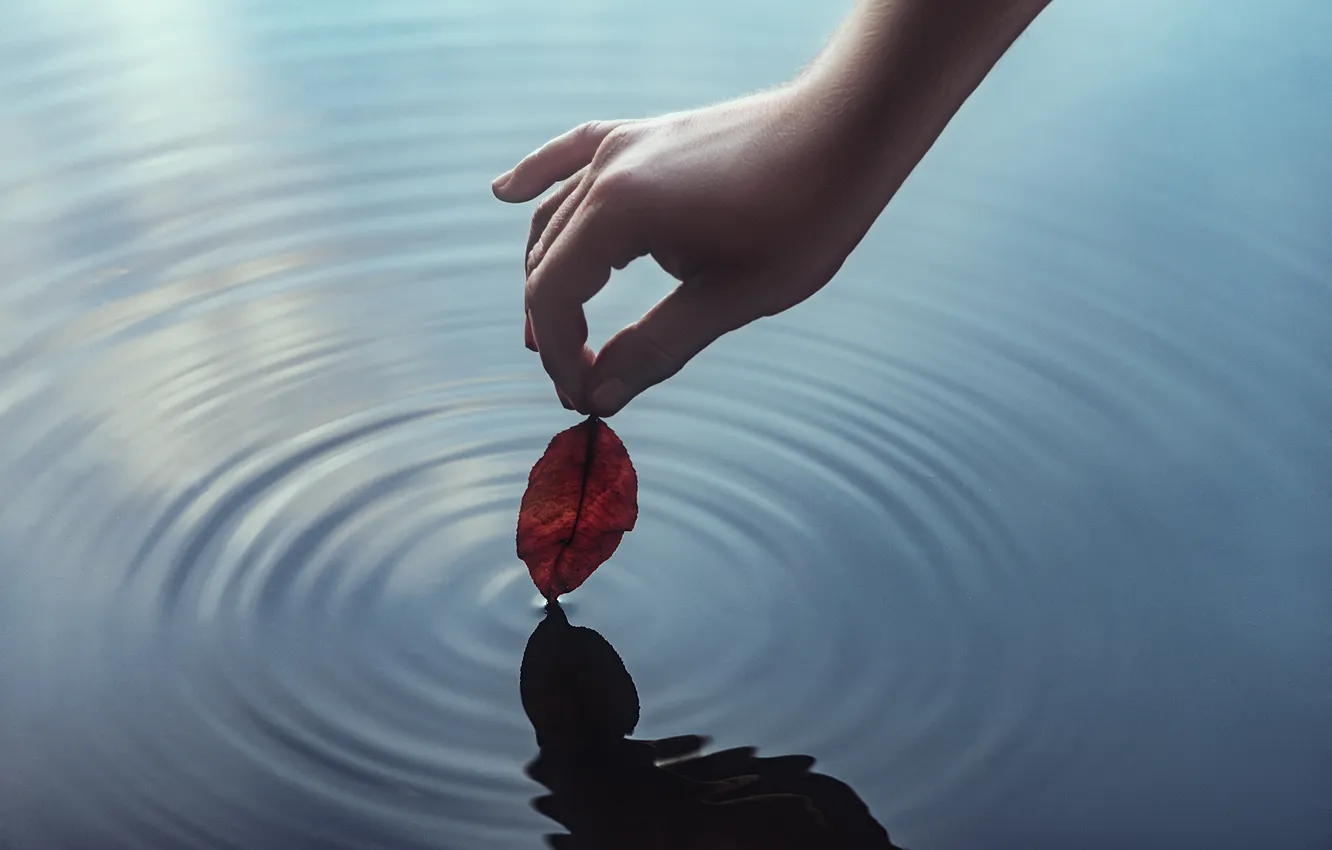 Photo wallpaper leaves, water, hands, touch, Alexander Chorny