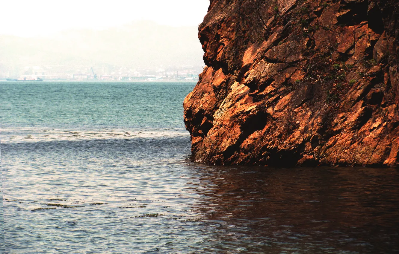 Photo wallpaper sea, landscape, rocks, plant, ship