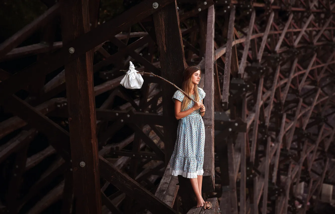 Photo wallpaper girl, bridge, rat