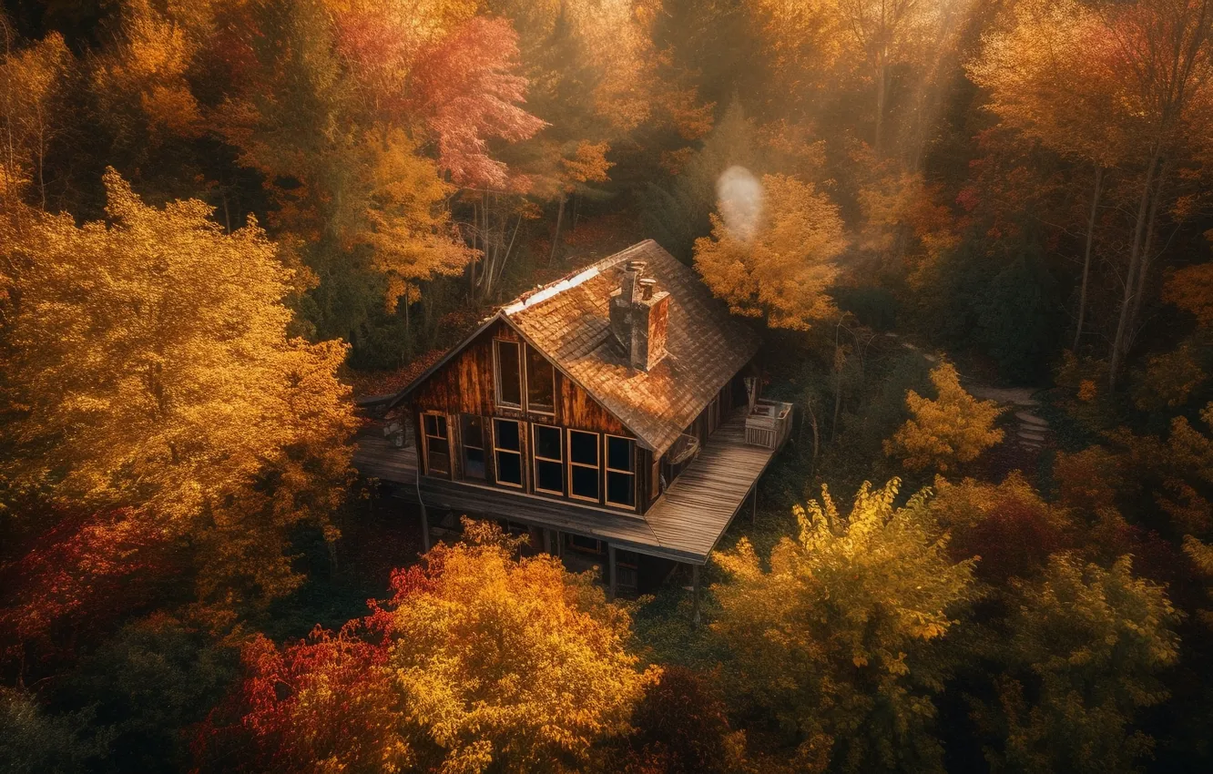Photo wallpaper autumn, forest, trees, foliage, home, house, hut, cottage