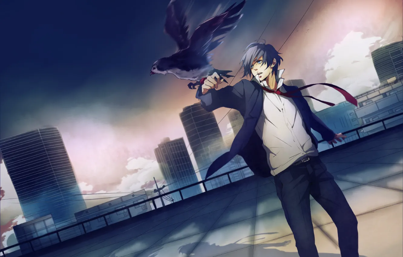Photo wallpaper bird, anime, art, guy