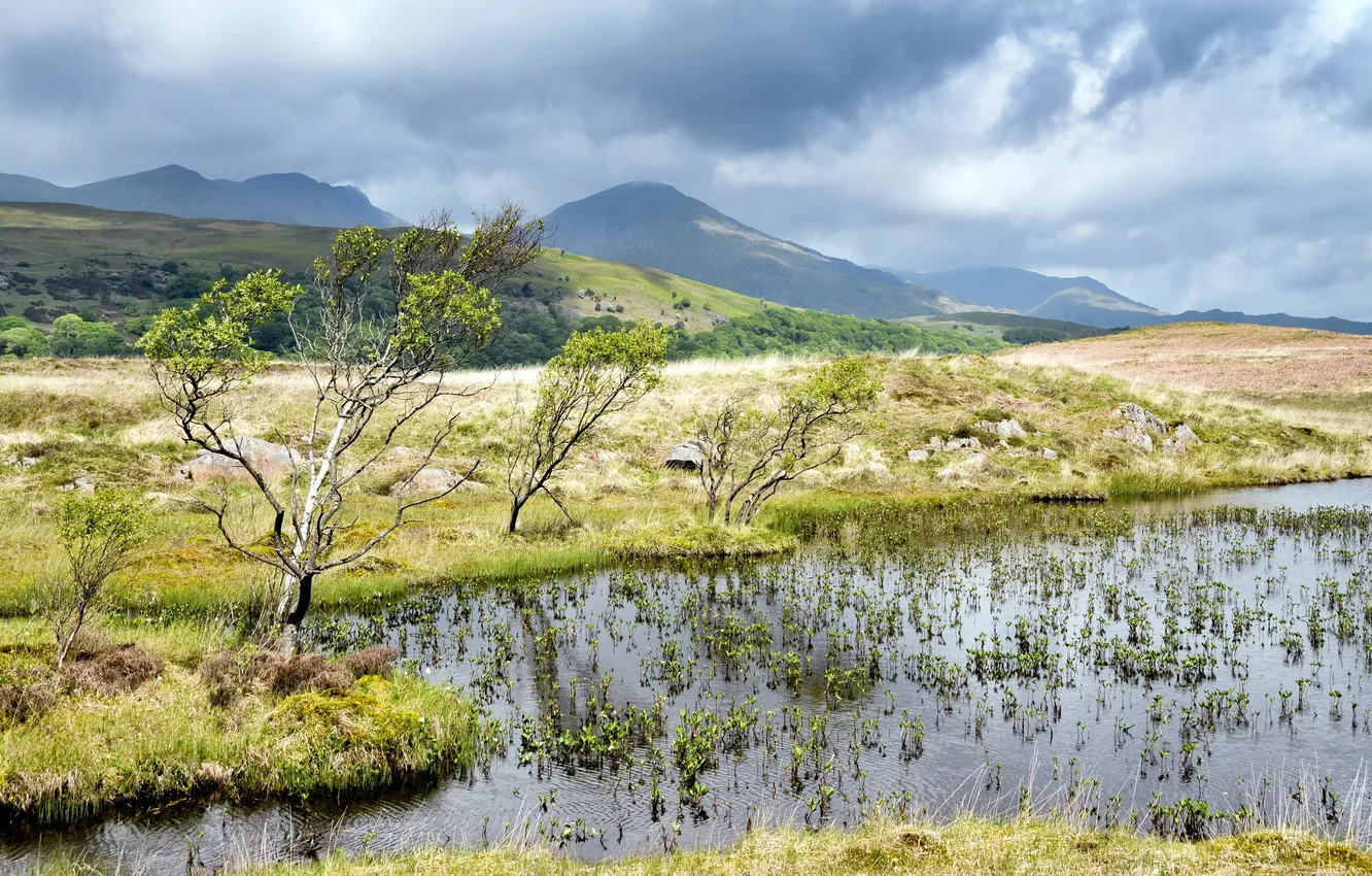 Photo wallpaper trees, landscape, mountains, nature, river