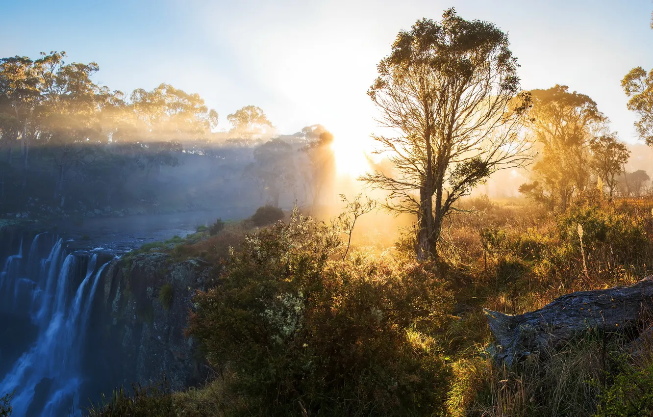 Photo wallpaper light, trees, landscape, river, morning