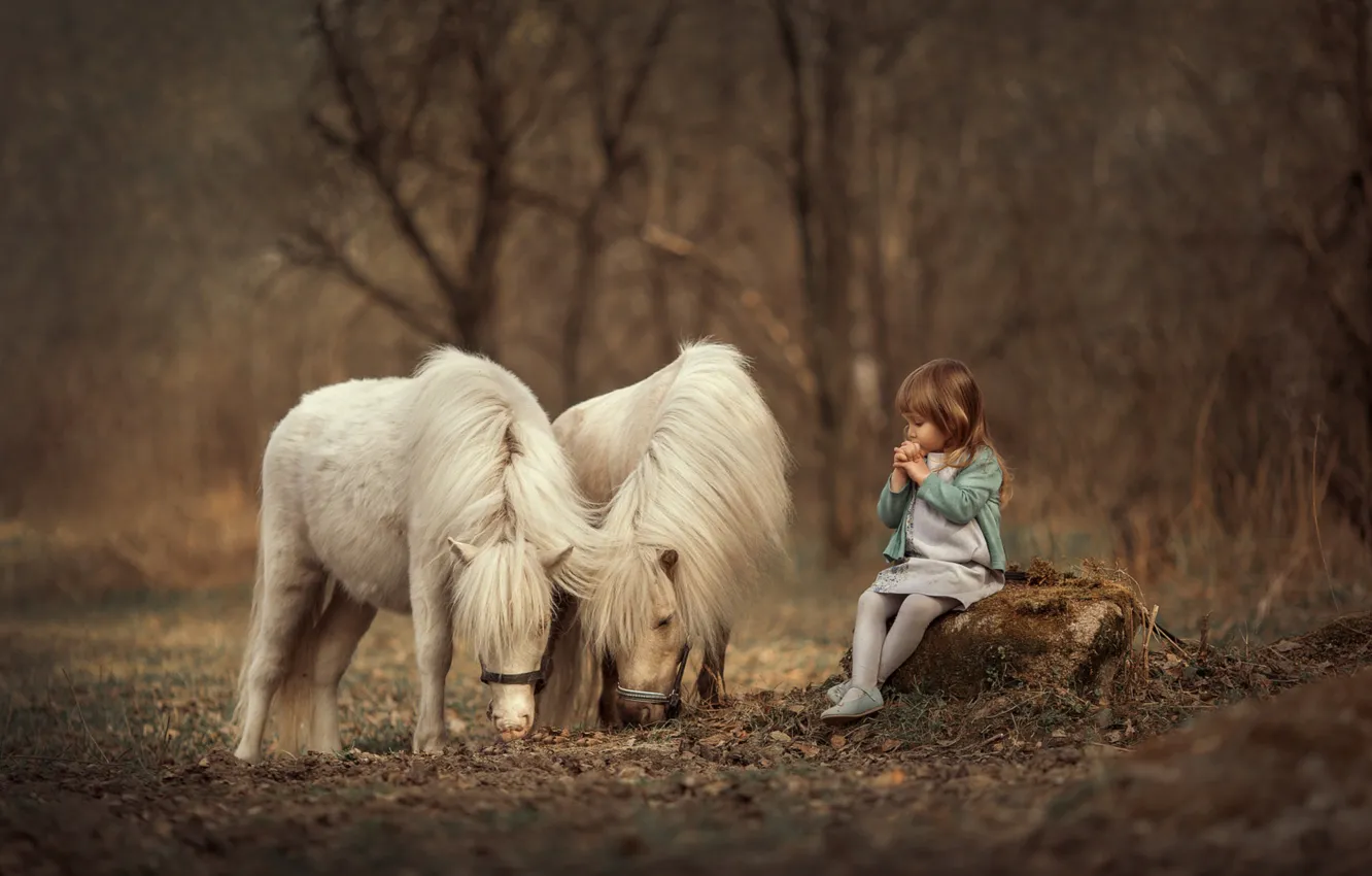 Photo wallpaper girl, pony, horse