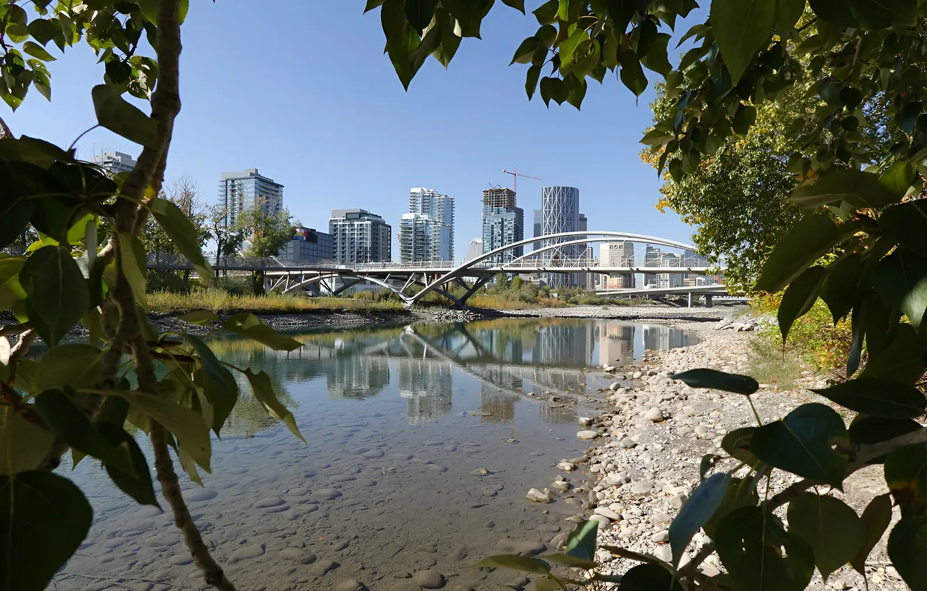 Photo wallpaper leaves, bridge, the city, shore