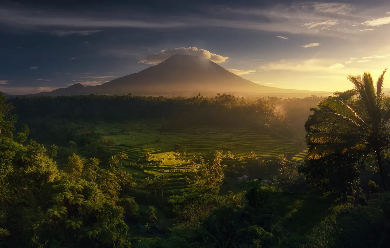 Photo wallpaper greens, summer, the sky, clouds, light, trees, mountains, fog