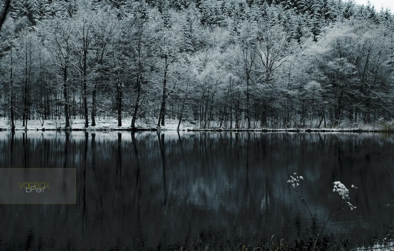 Photo wallpaper cold, forest, snow, lake