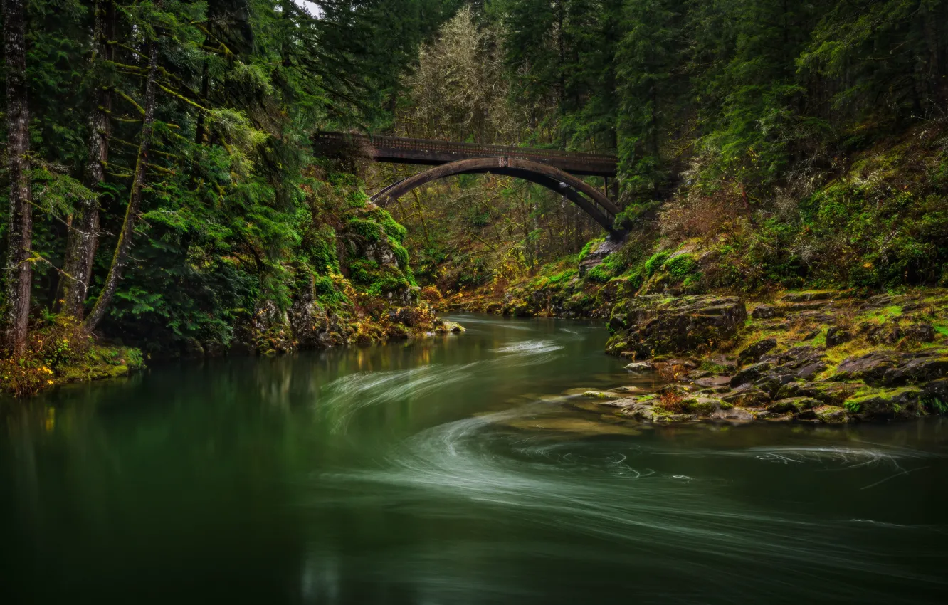 Photo wallpaper forest, bridge, river, Lewis River, Washington State, Washington, River Lewis, Moulton Falls Bridge