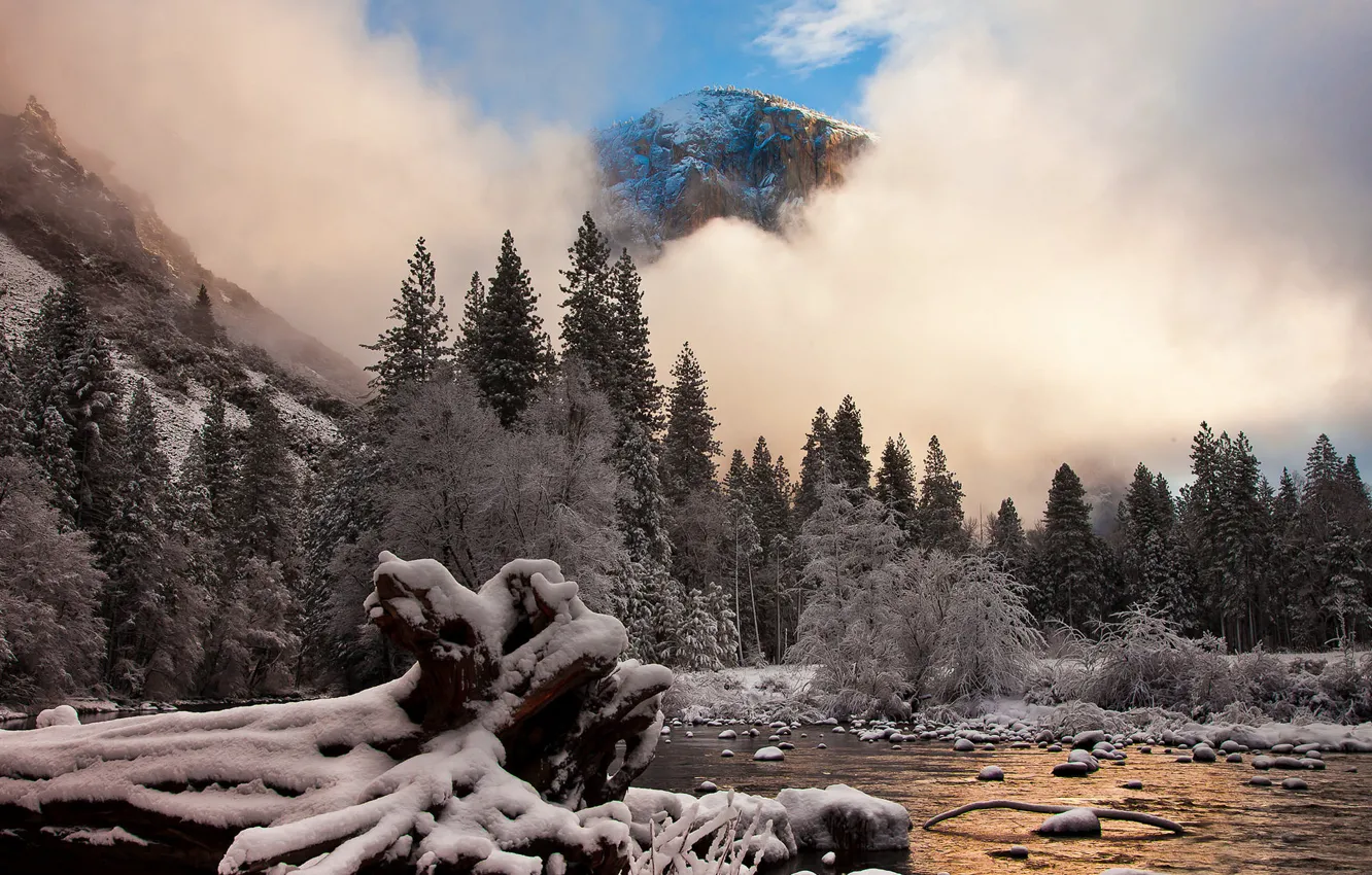 Photo wallpaper frost, snow, mountains, nature, CA, Yosemite National Park