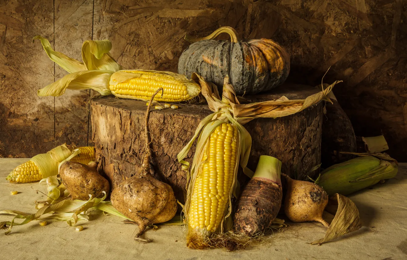 Photo wallpaper corn, harvest, pumpkin, still life, vegetables, autumn, still life, pumpkin