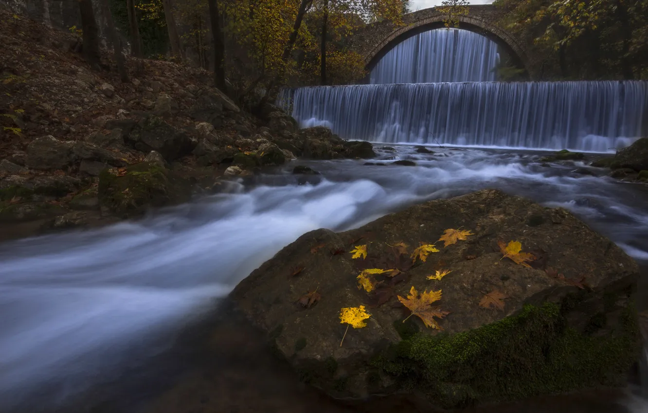 Photo wallpaper autumn, forest, leaves, bridge, nature, stones, shore, for