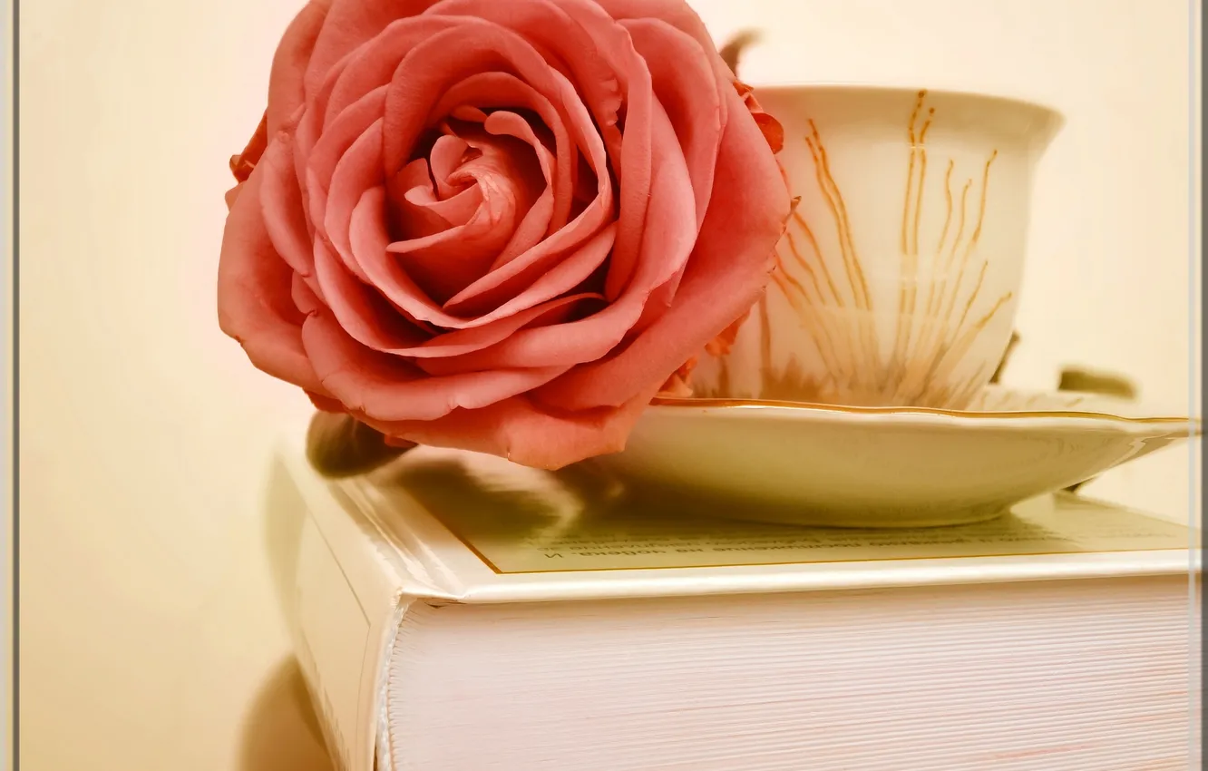 Photo wallpaper background, Wallpaper, pattern, roses, mug, book, saucer
