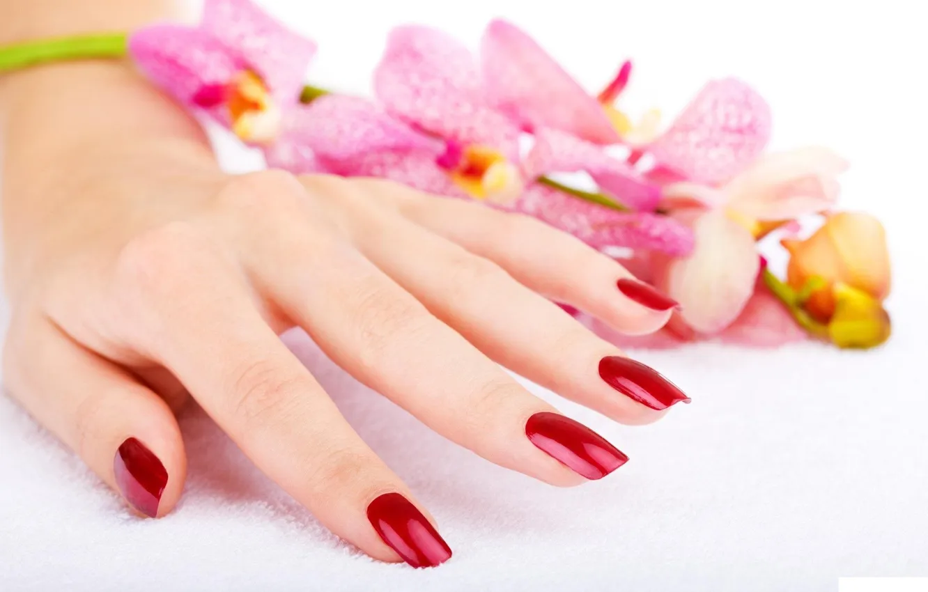 Photo wallpaper macro, flowers, photo, hands, manicure