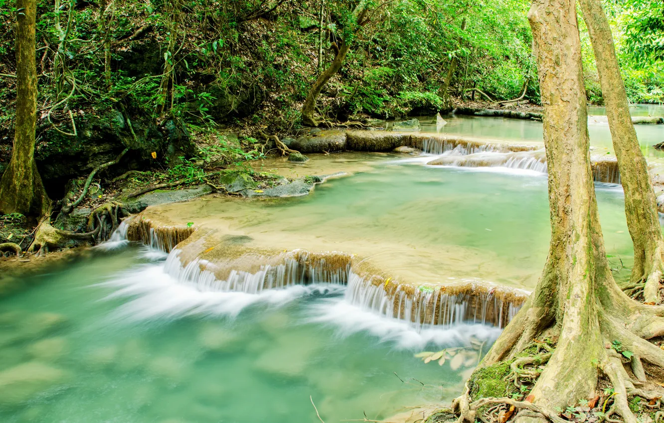 Photo wallpaper forest, river, waterfall, forest, river, landscape, jungle, waterfall