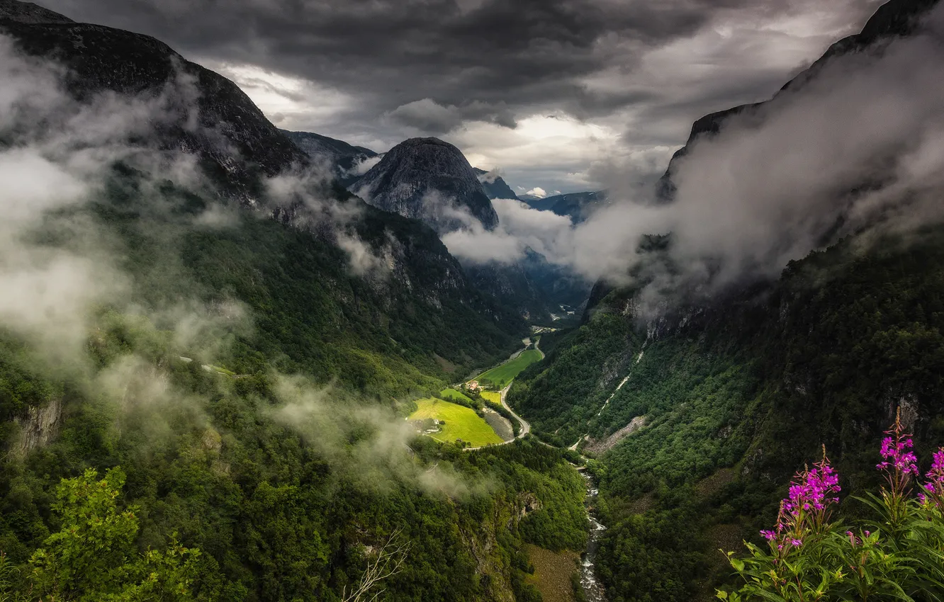 Photo wallpaper clouds, flowers, mountains, Ivan-tea
