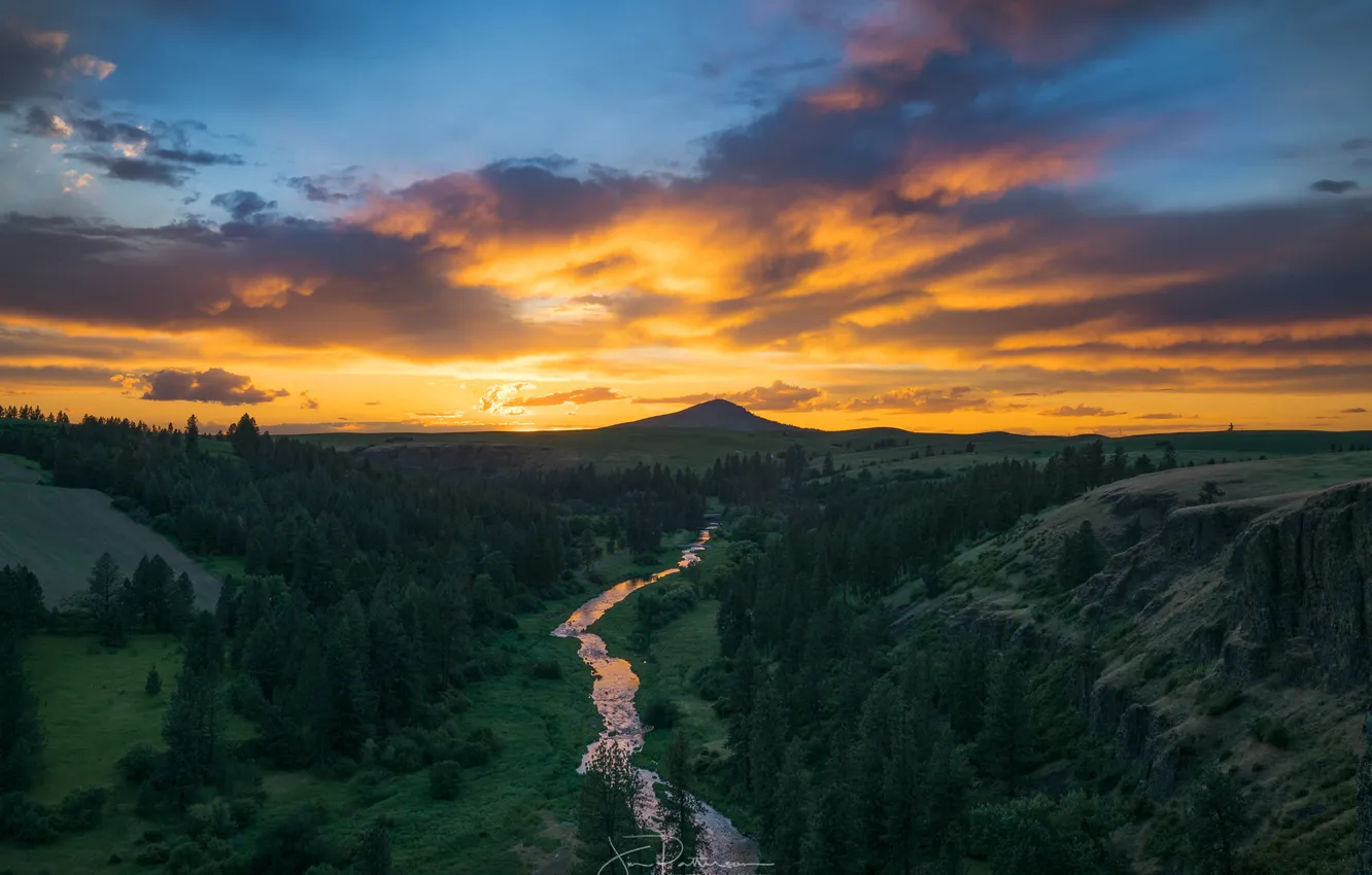 Photo wallpaper forest, landscape, sunset, river, valley