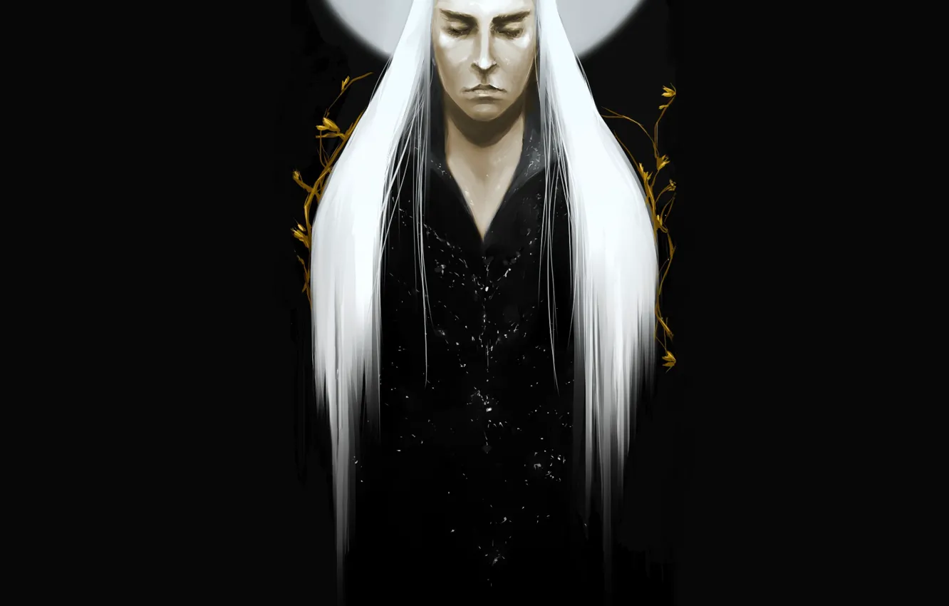 Photo wallpaper hair, elf, guy, Thranduil