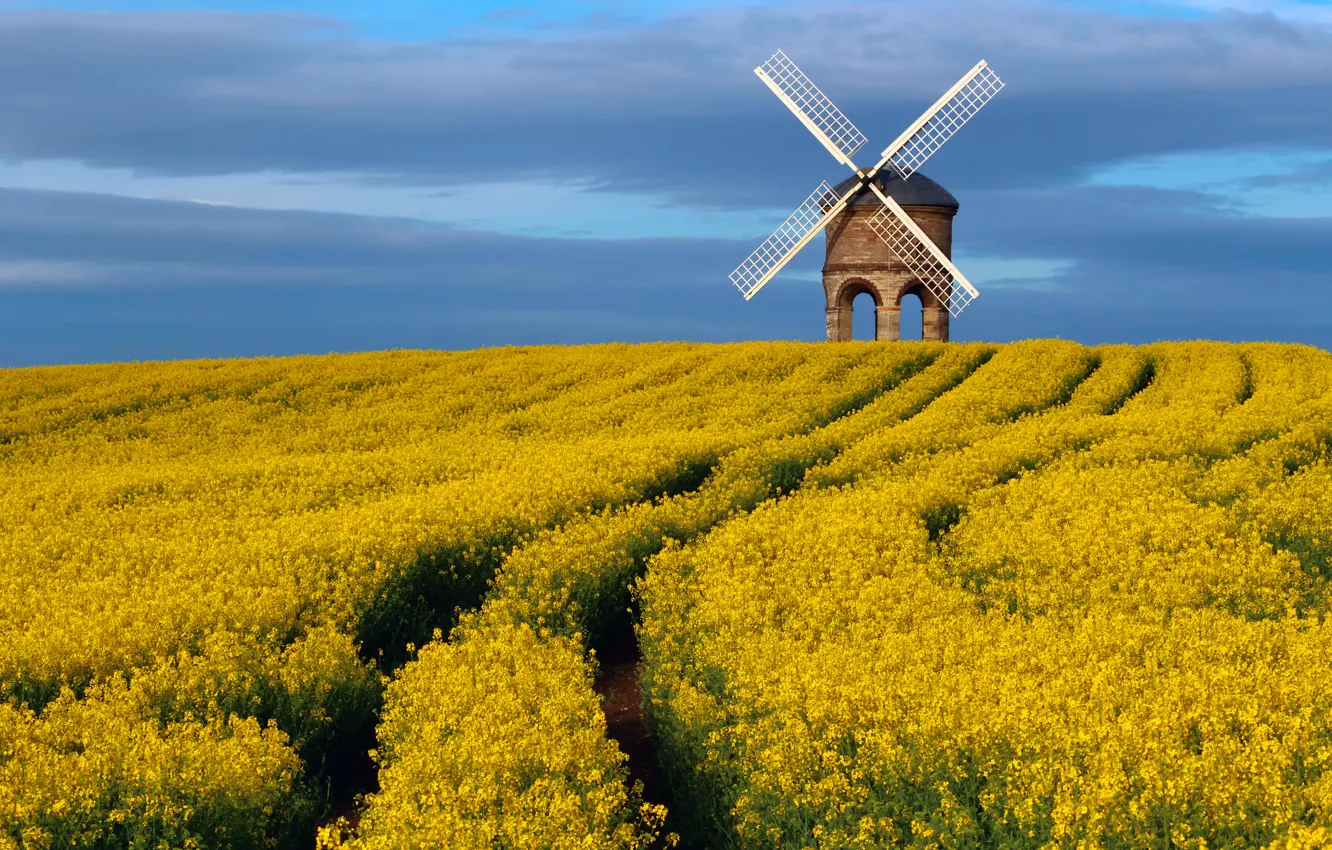 Photo wallpaper field, the sky, spring, April, UK, County, rape, windmill
