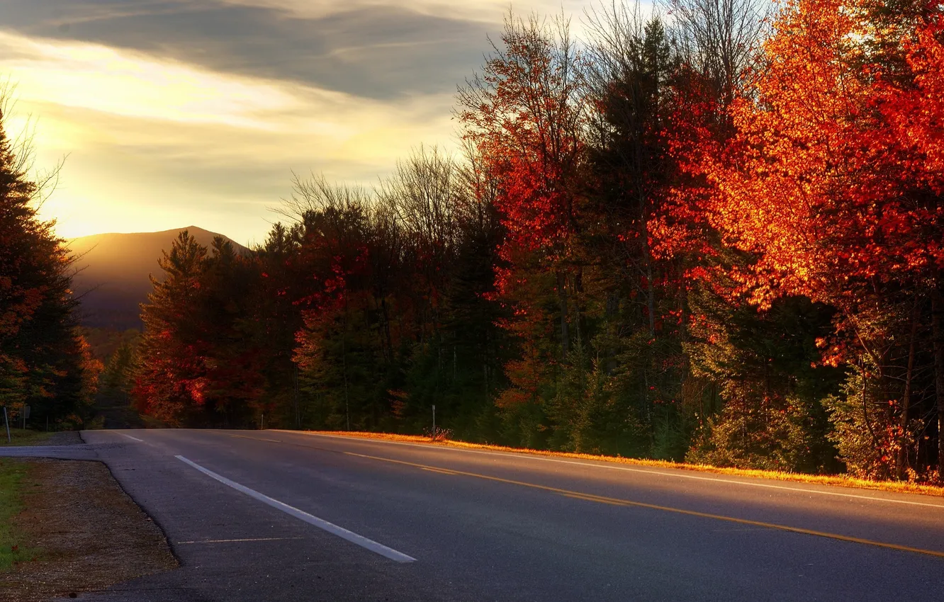 Photo wallpaper road, trees, New Hampshire, Kancamagus Highway