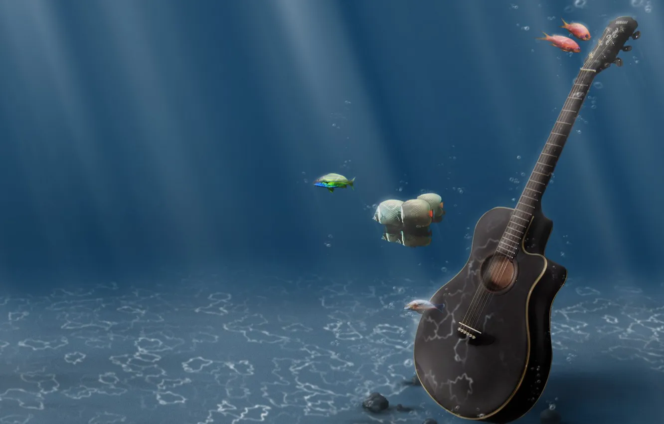 Photo wallpaper water, fish, guitar